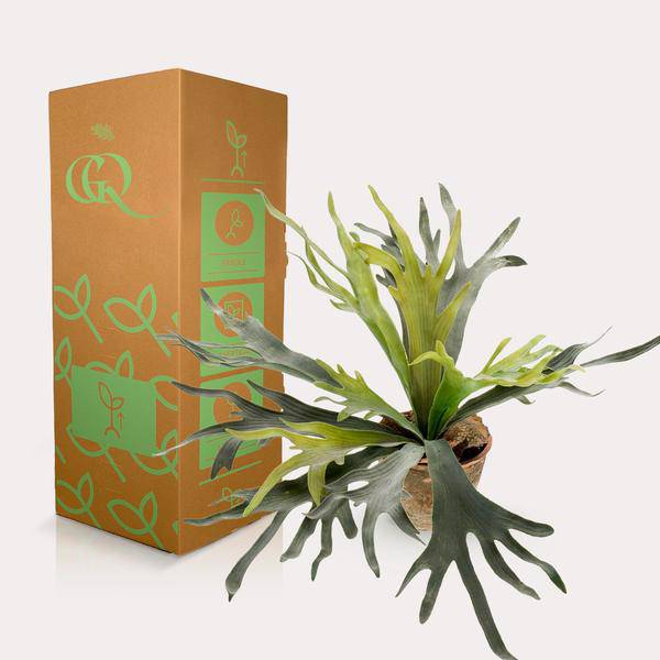 Kunstpflanze - Hirschhorn Farn - Geweihfarn - 50 cm