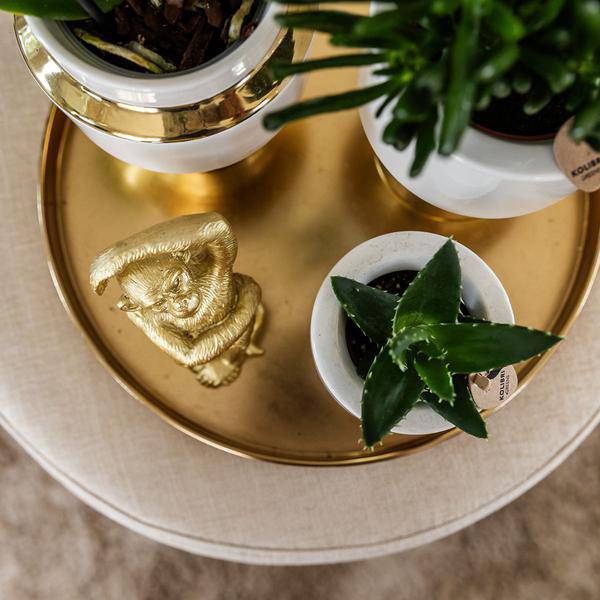 Le Chic Blumentopf – Weißer Keramiktopf mit goldenen Details – Ø6cm – Eleganter Ziertopf für Orchideen & Grünpflanzen – Glänzende Dekoration fürs Zuhause