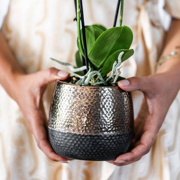 Elite Topf Kupfer Ø9cm - Ø9cm