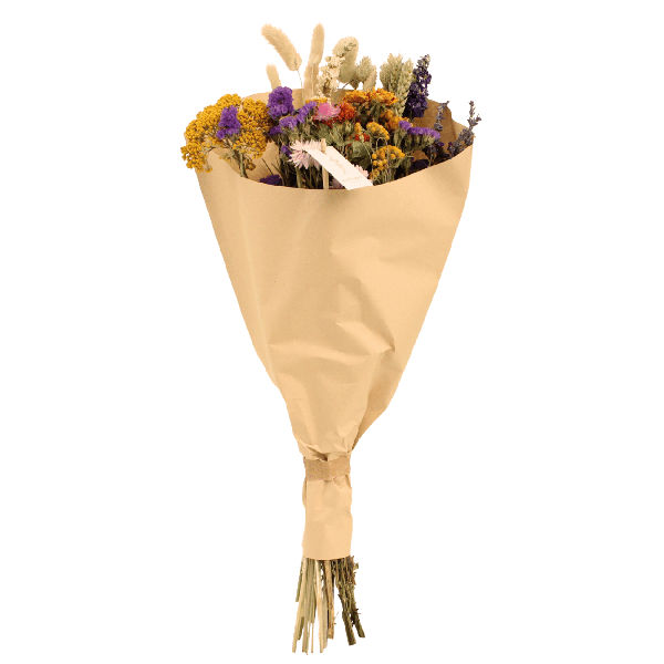 Trockenblumen Feldblumenstrauß Multi - Ø25cm - ↕60cm - Oasis of Life