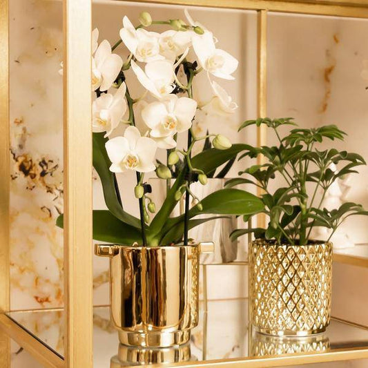 Blumentopf Diamant – Gold – Ø9cm – Keramik-Ziertopf mit Rautenmuster & Metallic-Finish – Handgefertigt – Für Orchideen, Sukkulenten & Zimmerpflanzen – Dekotopf für Wohnzimmer & Büro