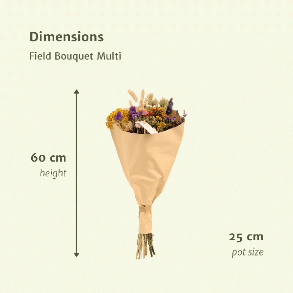 Trockenblumen Feldblumenstrauß Multi - Ø25cm - ↕60cm - Oasis of Life