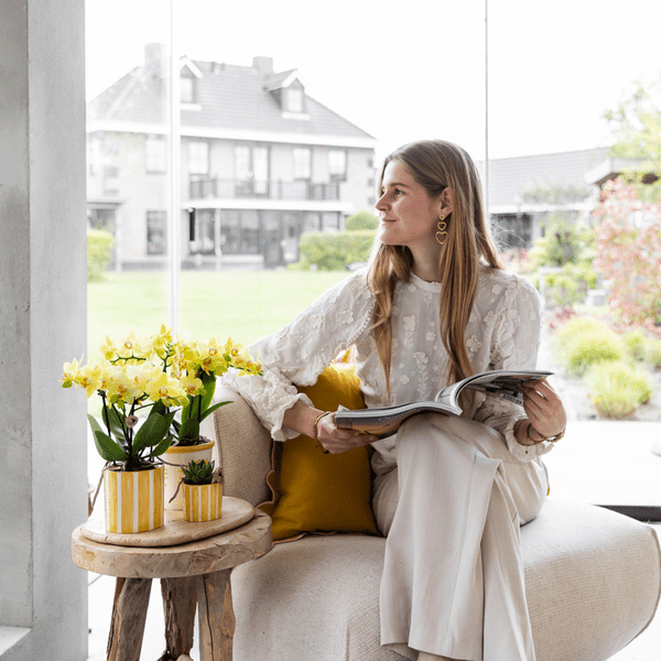 Topf - Bemalter Streifen - Gelb - Ø6cm