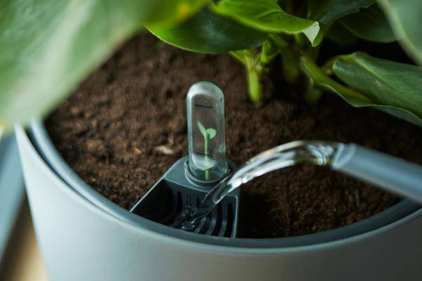 Selbstbewässerungs-Einsatz für Blumentöpfe – Pflanzeneinsatz mit Wasserreservoir – Ø17cm – für Zimmer- & Außenpflanzen