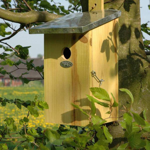 Beobachtungsnistkasten – Vogelhaus aus Holz mit Zinkdach – Mit Seitentür & Beobachtungsfenster – Für Meisen, Kleiber & Gartenvögel – 18,6 x 14,6 x 33 cm