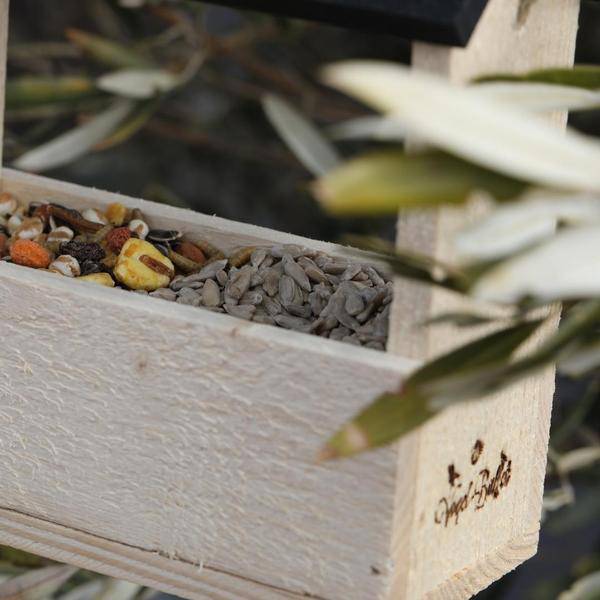 Vogel-Buffet - Vogelparty-Futterautomat inklusive 2 Futtermischungen