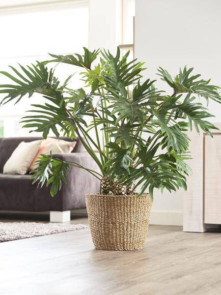 Korb - Hellbraun - Jip Natur - XL - H31cm - B37cm