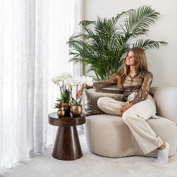 Calathea Makoyana – Pfauen-Korbmaranthe – Zimmerpflanze – Ø9cm – Exotische, kompakte Grünpflanze mit dekorativen Blättern – Luftreinigend & pflegeleicht