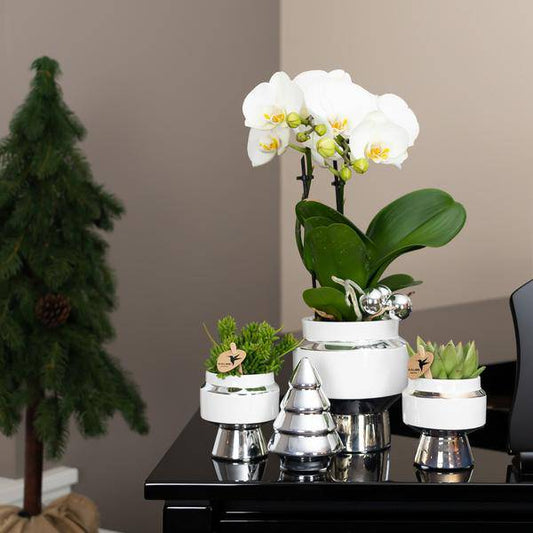 Le Chic Blumentopf Weiß mit silbernen Details – Dekorativer Keramiktopf Ø9cm – Eleganter Ziertopf für Orchideen & Grünpflanzen