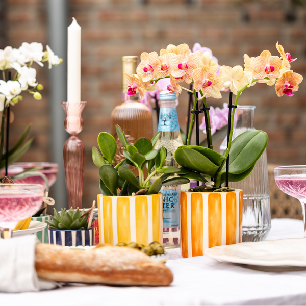 Dekotopf Keramik β Blumentopf Bemalter Streifen Orange β Γ9cm β Modernes PflanzgefÀà fΓΌr Zimmerpflanzen & DekoΒ