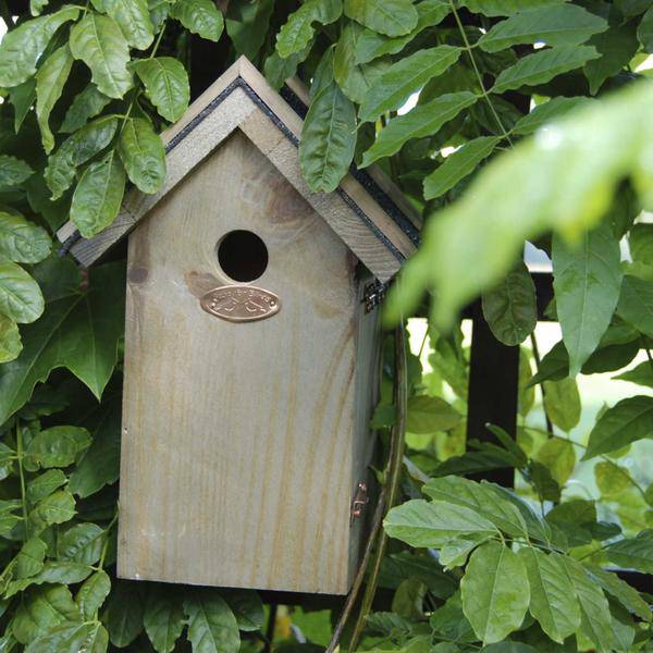 Vogelhaus Blaumeise – Nistkasten mit Bitumendach – Schlüssellochöffnung & seitliche Tür – 27 mm Flugöffnung – Schutz & Nistplatz für Blaumeise & Meisenarten