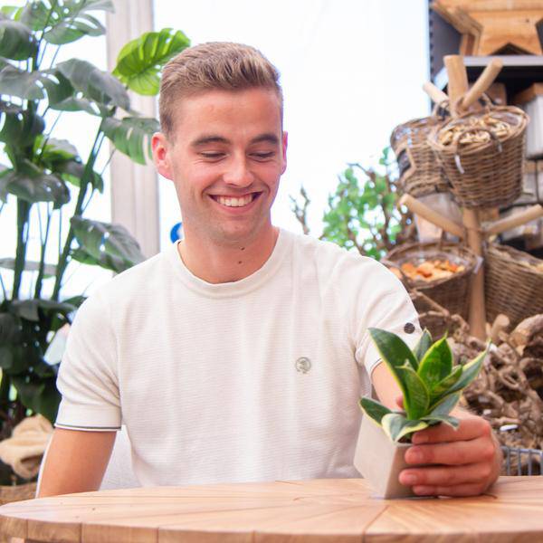 Geschenk Pflanze Sansevieria – Happy Birthday Botschaft – Zimmerpflanze im Design Blumentopf – Persönliches Geburtstagsgeschenk statt Blumenstrauß – Luftreinigend & pflegeleicht