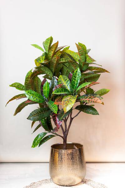 Kunstpflanze - Croton codiaeum - Wunderstrauch - 120 cm