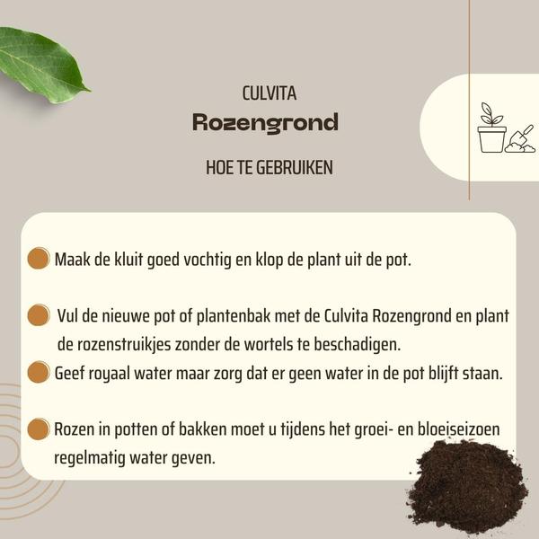 Rosenerde 40 Liter – Spezielle Blumenerde für Garten-, Topf- & Terrassenrosen – mit RhizoPlus Wurzelverbesserer – Organischer Langzeitdünger