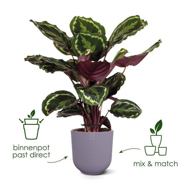 Jazz Pflanztopf Rot – D14 x H13 – Moderner Blumentopf für Innen & Außen – Eleganter runder Pflanzkübel aus Kunststoff – Dekorativer Übertopf für Zimmer- & Gartenpflanzen