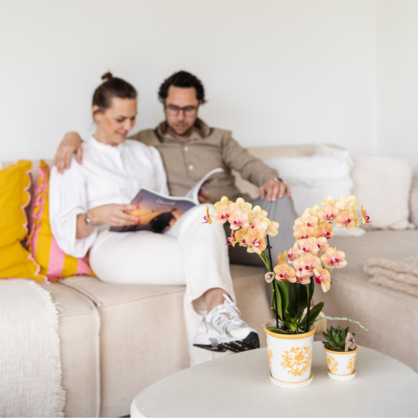 Malaga Blumentopf Orange Ø9cm – Dekorativer Keramiktopf in sommerlichem Design – Pflanzentopf für Zimmerpflanzen & Kräuter – Stilvolle Blumendeko für Wohnzimmer, Küche & Büro