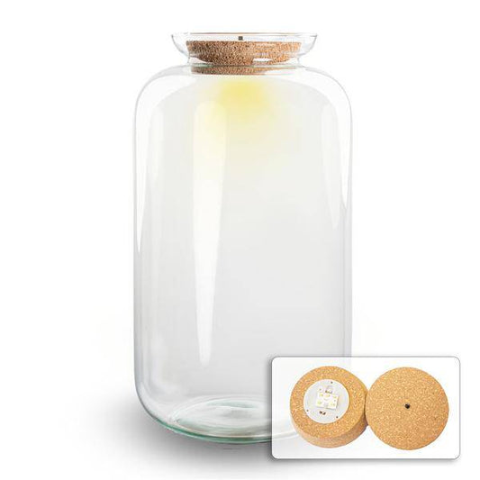 Flaschengarten - Terrarium Flasche + LED in Kork - Sven XL - ↑43cm – Recyceltes Glas – Geschlossenes Terrarium – Mit Beleuchtung