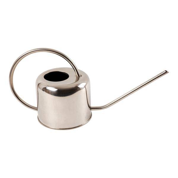 Gießkanne aus rostfreiem Stahl – 1 Liter – langer schmaler Ausguss – ergonomischer Griff – ideal für Zimmer- und Gartenpflanzen