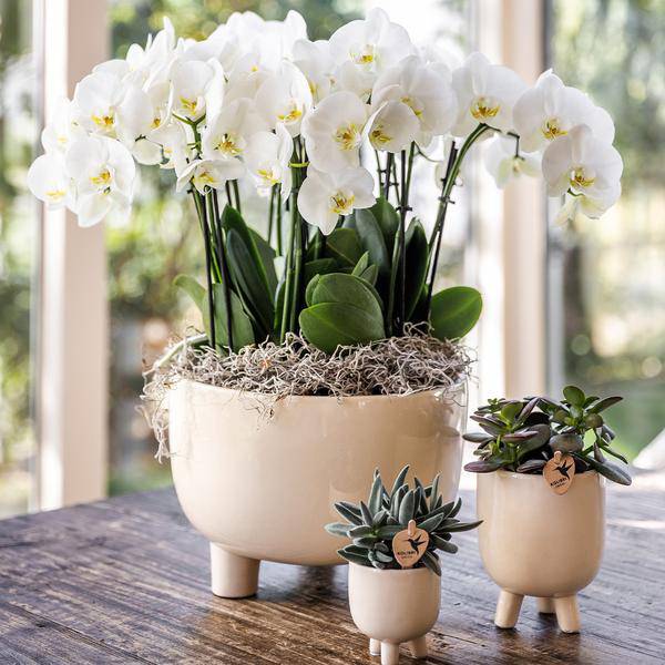 Gummitopf Travertin Ø9cm - Ø6cm