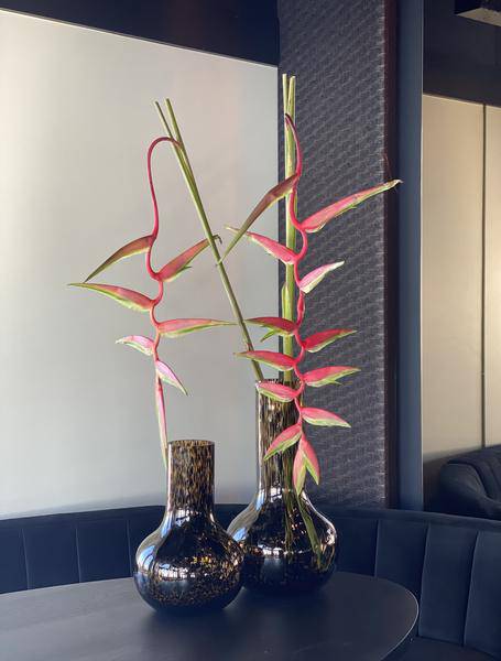 Vase Glas - S - H37 B25 - Seim - Gepard