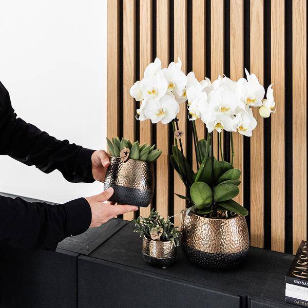 Elite Topf Kupfer Ø9cm - Ø9cm