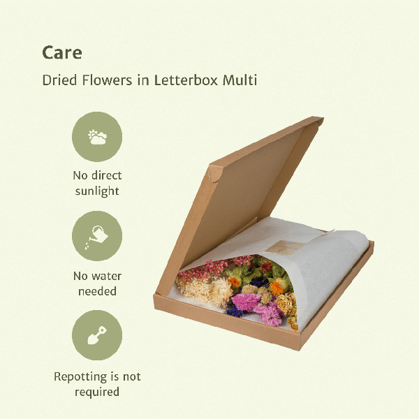 Trockenblumen im Briefkasten - Multi - Oasis of Life