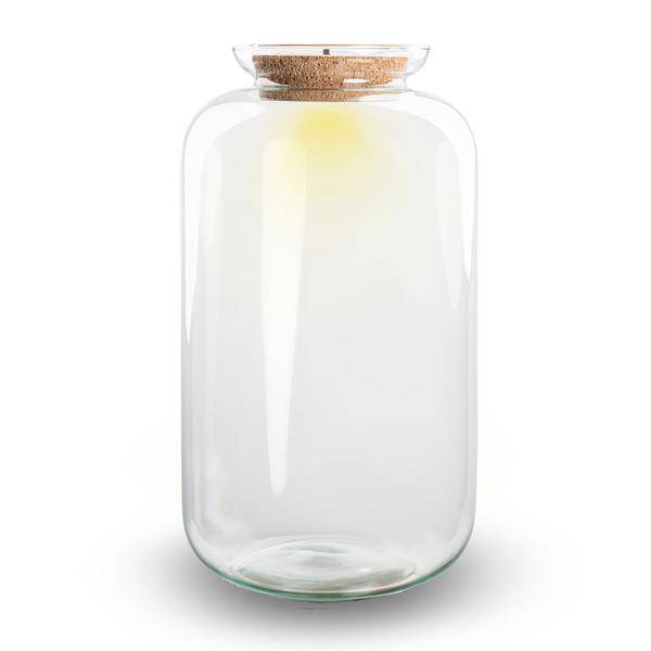 Flaschengarten - Terrarium Flasche + LED in Kork - Sven XL - ↑43cm – Recyceltes Glas – Geschlossenes Terrarium – Mit Beleuchtung