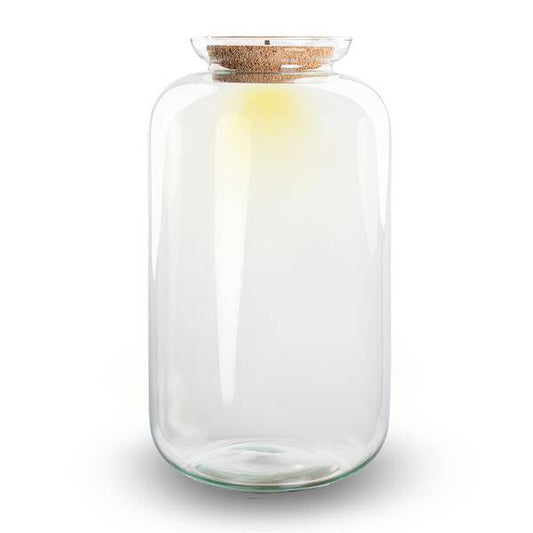 Flaschengarten - Terrarium Flasche + LED in Kork - Sven XL - ↑43cm – Recyceltes Glas – Geschlossenes Terrarium – Mit Beleuchtung