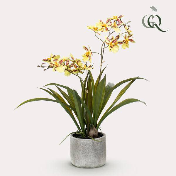 Kunstpflanze - Orchidee - Gelb - ↨45cm