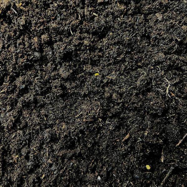 Culvita Blumenerde Spezial – 40 Liter – Premium Erde für Zimmer- & Freilandpflanzen – 6 Monate Nährstoffversorgung mit EasyCoat – Ideal zum Ein- & Umtopfen