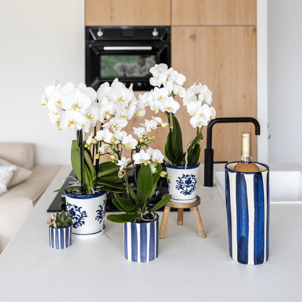 Malaga Blumentopf Blau – Ø9cm – Dekorativer Keramiktopf in Porzellanoptik – Mediterraner Ziertopf für Zimmerpflanzen – Für Fensterbank, Wohnzimmer & Büro