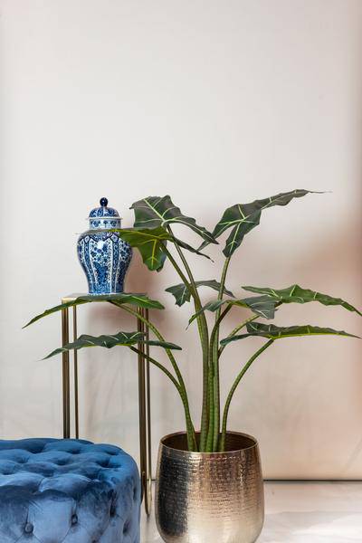 Kunstpflanze - Alocasia Frydek - 120 cm