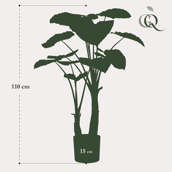 Alocasia – Künstliche Zimmerpflanze – Pfeilblätter – ↕110 cm – Tropische Deko für Wohnzimmer, Flur & Wintergarten