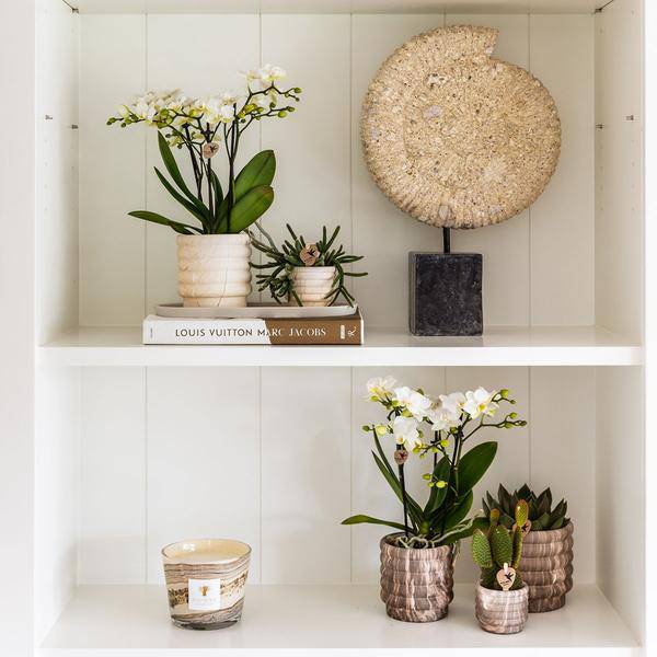 Marmor-Topf - Hell - Ø6cm