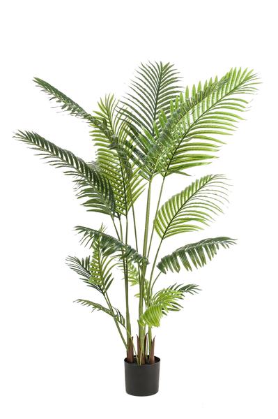 Kunstpalme Howea forsteriana – 160 cm – Realistische Kentia-Palme – Pflegefrei – Hypoallergen – Für Wohnzimmer, Büro & Wintergarten – Tropisches Deko-Highlight