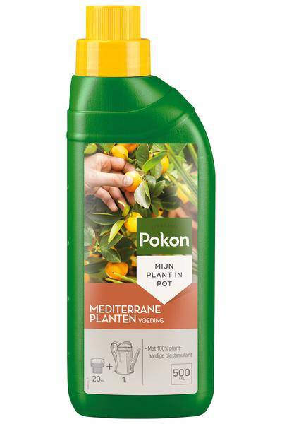 Pokon Mediterrane Pflanzennahrung – Flüssigdünger für Olivenbäume, Zitruspflanzen & Lavendel – NPK Dünger mit Magnesium – 500ml