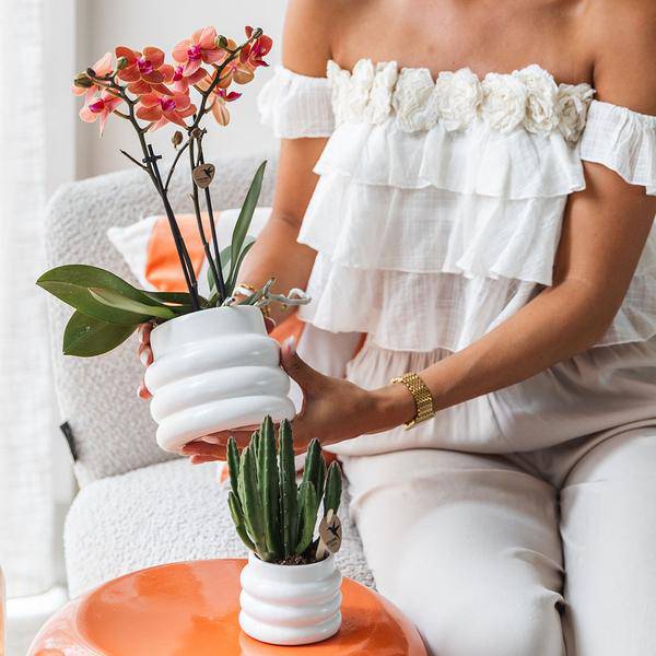 Bubble-Topf Weiß - Ø9cm