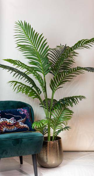 Kunstpalme Howea forsteriana – 160 cm – Realistische Kentia-Palme – Pflegefrei – Hypoallergen – Für Wohnzimmer, Büro & Wintergarten – Tropisches Deko-Highlight