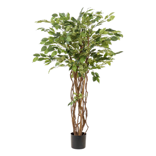 Ficus Liana – Künstliche Zimmerpflanze – ↕140 cm – Realistische Stiefmütterchen-Pflanze – Dekoration für Wohnzimmer, Flur & Wintergarten