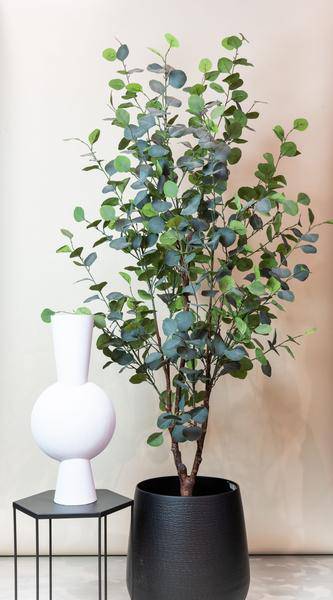 Kunstpflanze - Eukalyptusbaum - Blauer Gummibaum - 180 cm