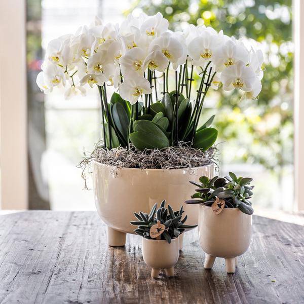 Gummitopf Travertin Ø9cm - Ø9cm