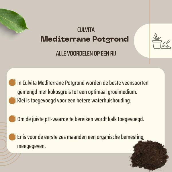 Mediterrane Blumenerde 40 Liter – Premium Erde für mediterrane Pflanzen – Mit RhizoPlus Mykorrhiza – Ideal für Olivenbäume, Zitruspflanzen & Palmen – Optimales Wassermanagement & Nährstoffversorgung