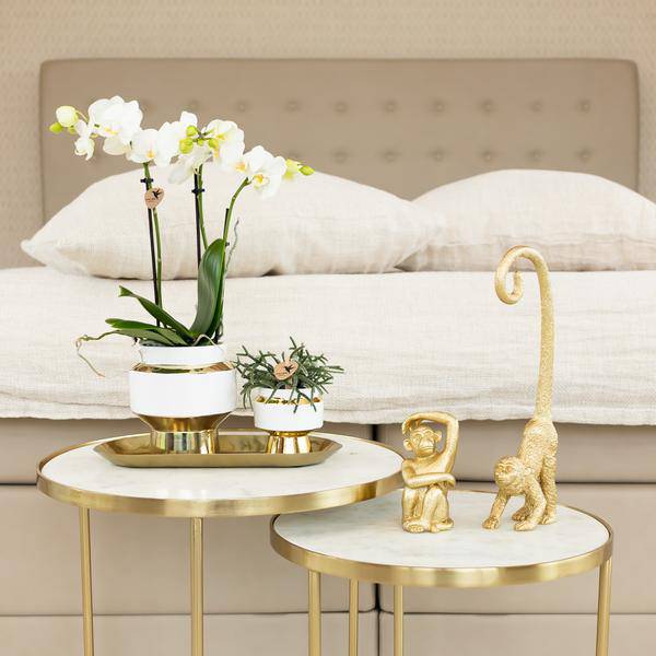Le Chic Blumentopf – Weißer Keramiktopf mit goldenen Details – Ø9cm – Eleganter Ziertopf für Orchideen & Grünpflanzen – Stilvoller Deko-Übertopf