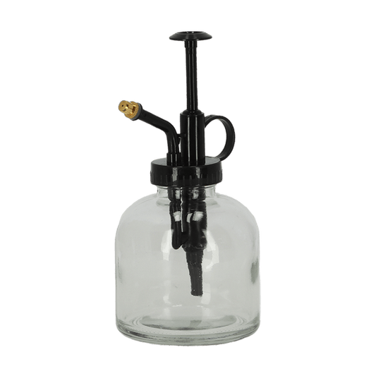 Pflanzensprüher - transparent - Glas - 200 ML