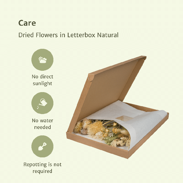 Trockenblumen im Briefkasten – Natur – Getrockneter Blumenstrauß – Beige, Weiß & Rosa – langlebig & pflegefrei – Geschenkidee – 25–30 cm – Dekoration für Zuhause