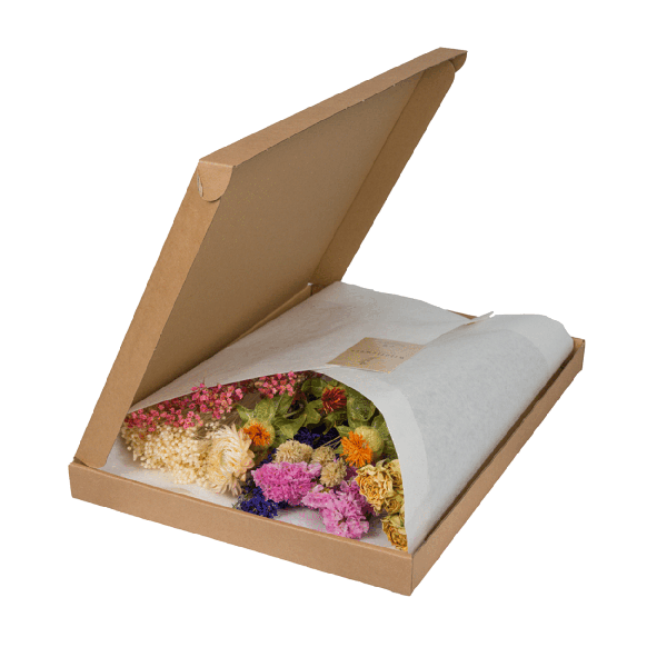 Trockenblumen im Briefkasten - Multi - Oasis of Life