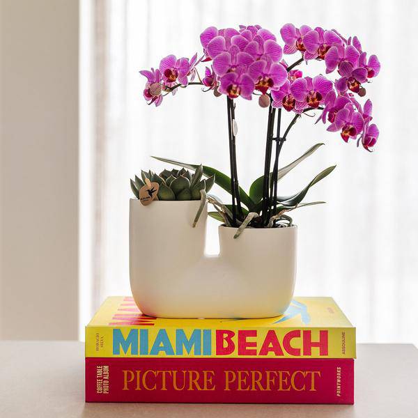 Röhre Ziertopf - Weiß