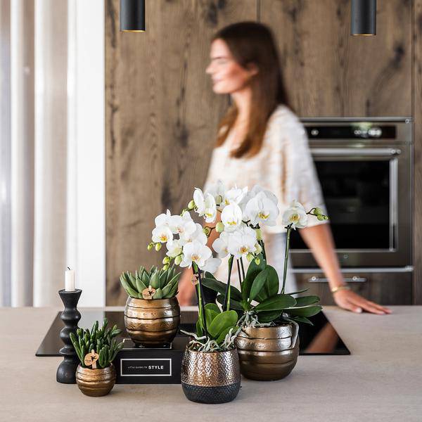 Elite Topf Kupfer Ø9cm - Ø9cm