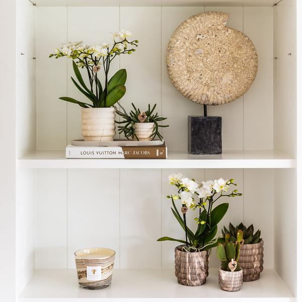 Marmor Topf - Hell - Ø9cm