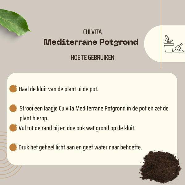 Mediterrane Blumenerde 40 Liter – Premium Erde für mediterrane Pflanzen – Mit RhizoPlus Mykorrhiza – Ideal für Olivenbäume, Zitruspflanzen & Palmen – Optimales Wassermanagement & Nährstoffversorgung